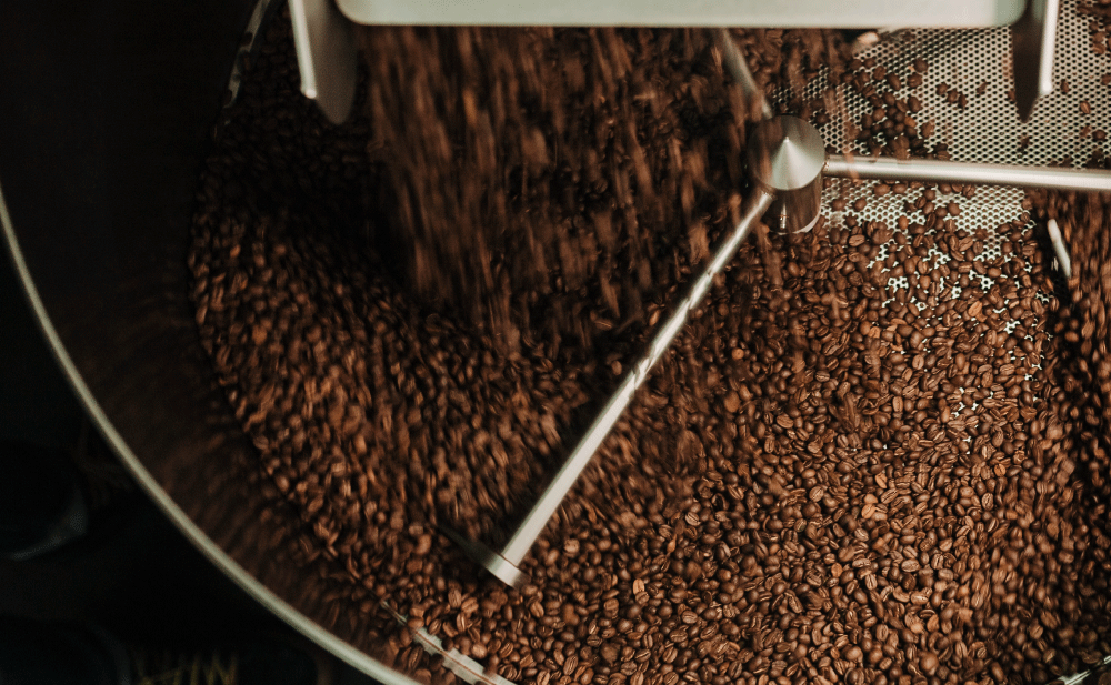 Freshly roasted coffee being cooled after coming out of the roaster