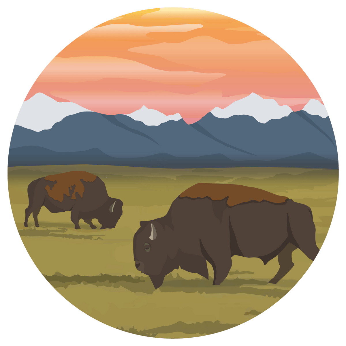 Buffalo Blend