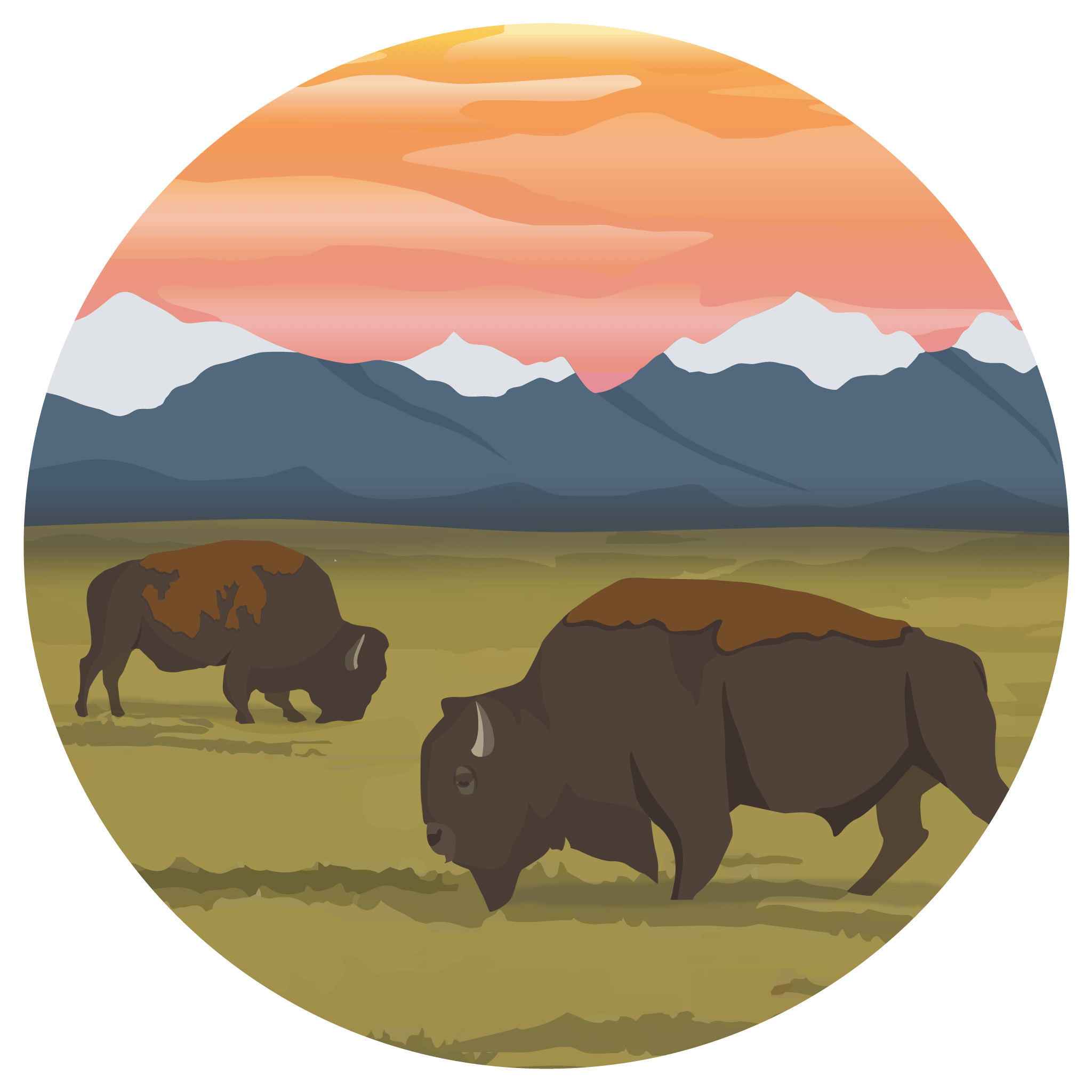 An illustration of buffalo in front of mountains
