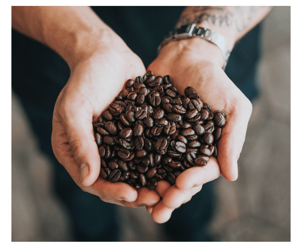 A person's hands holding coffee beans