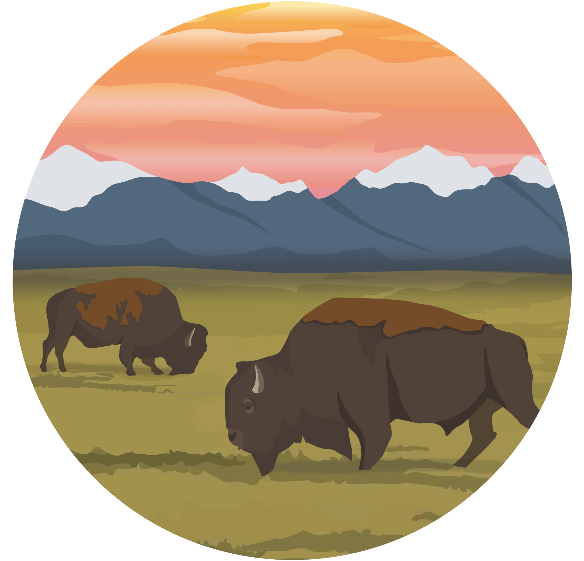 An illustration of buffalo in front of mountains