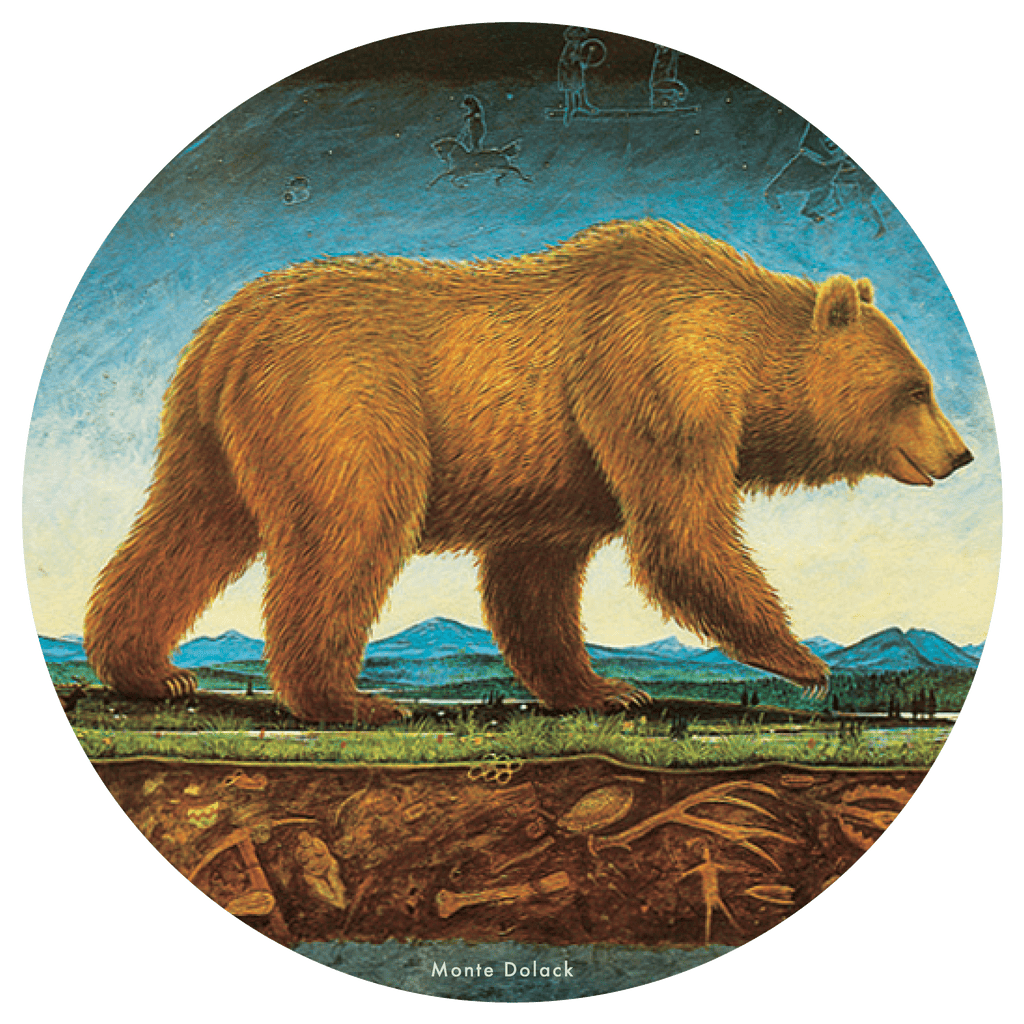 Illustration of a Grizzly Bear showing the sky and earth